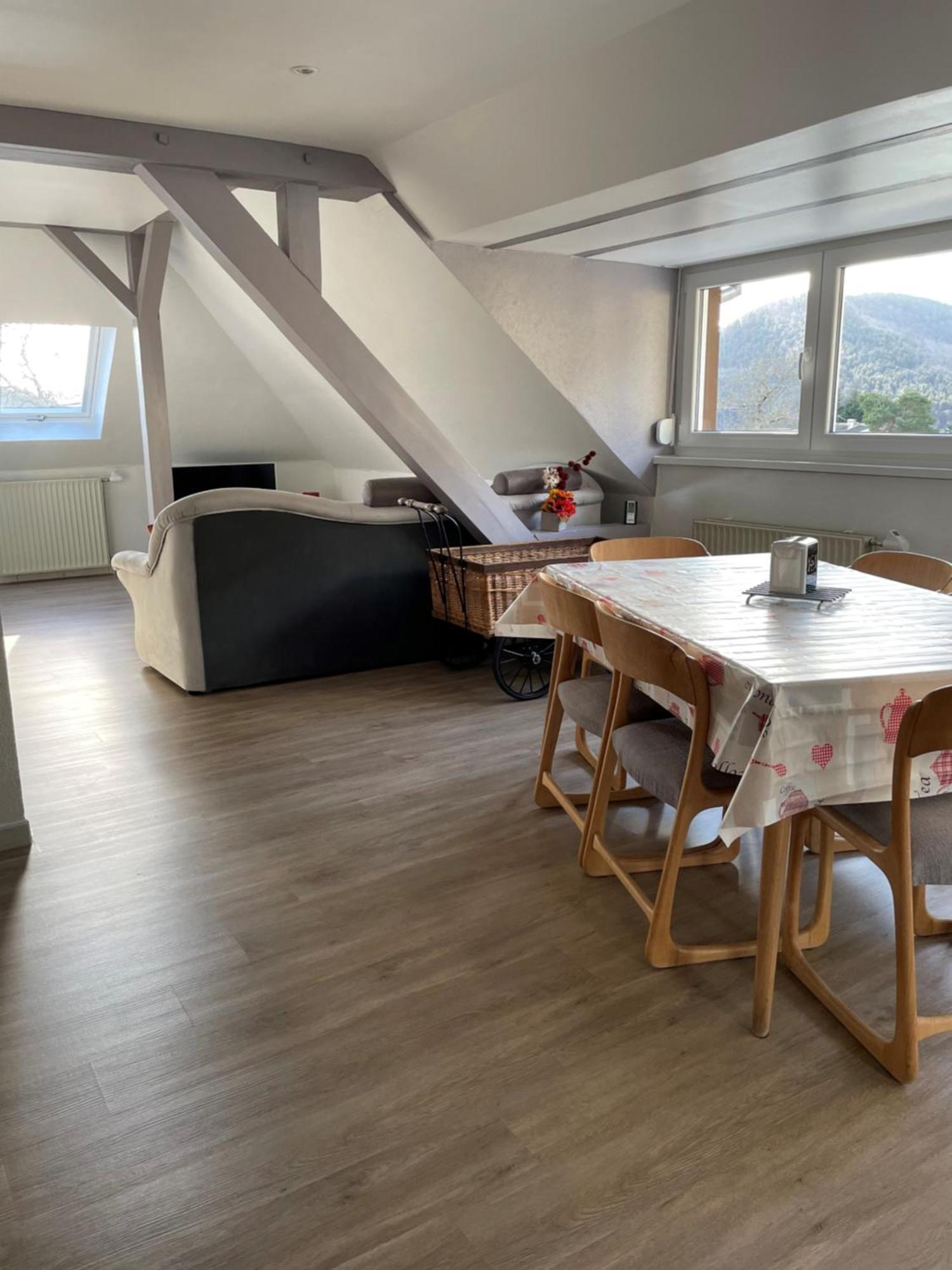 Gite Spacieux, Lumineux Et Tres Cosy Lautenbach Eksteriør bilde